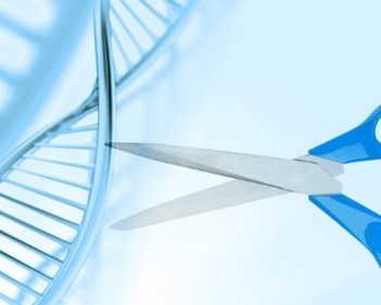 CRISPR/Cas9 gene editing