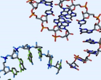 RNA Aptamers