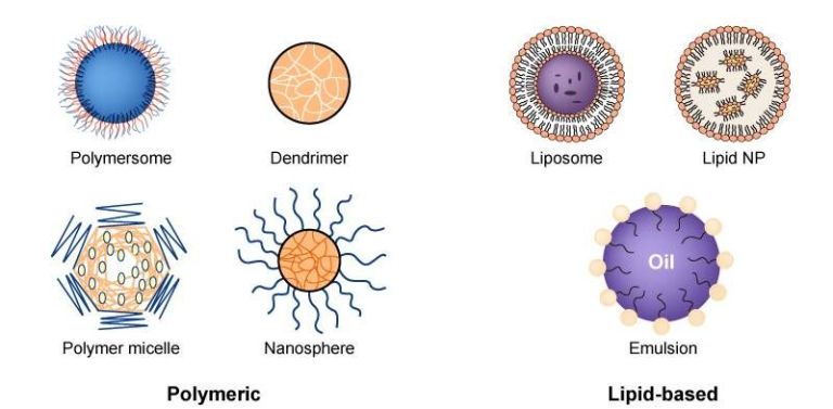 Non-viral vectors