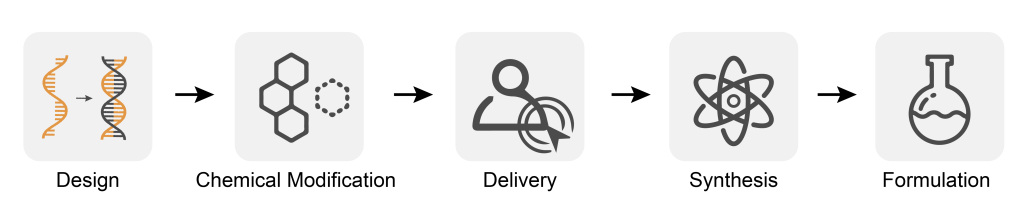 Nucleic acid drugs workflow