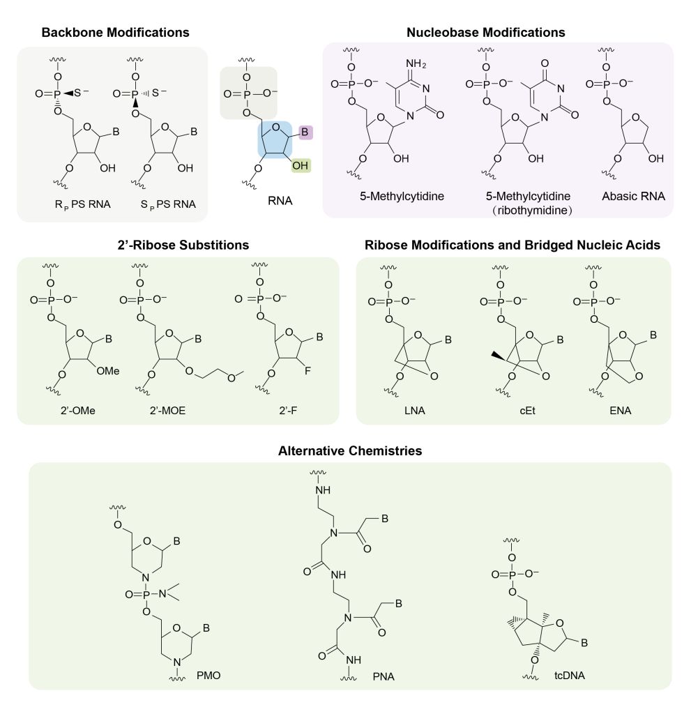 chemical modifications used in oligonucleotide drugs