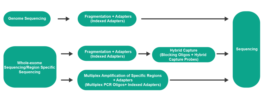 NGS Process