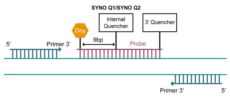 Double-quencher probes