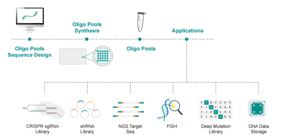 oligo pools workflow