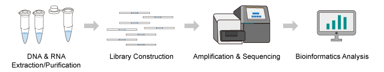 NGS sequencing workflow