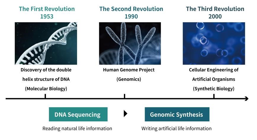 The evolution of synthetic biology