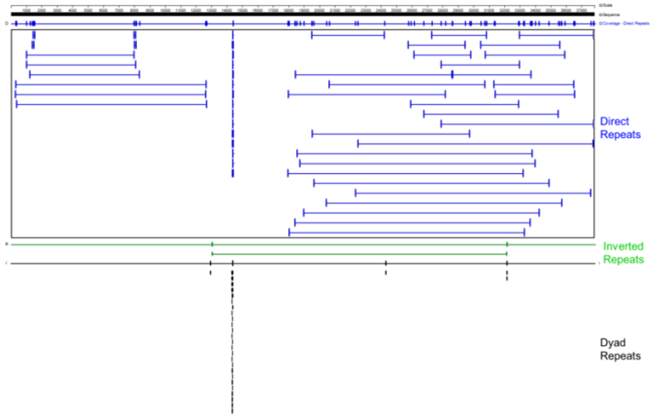 repeated sequences