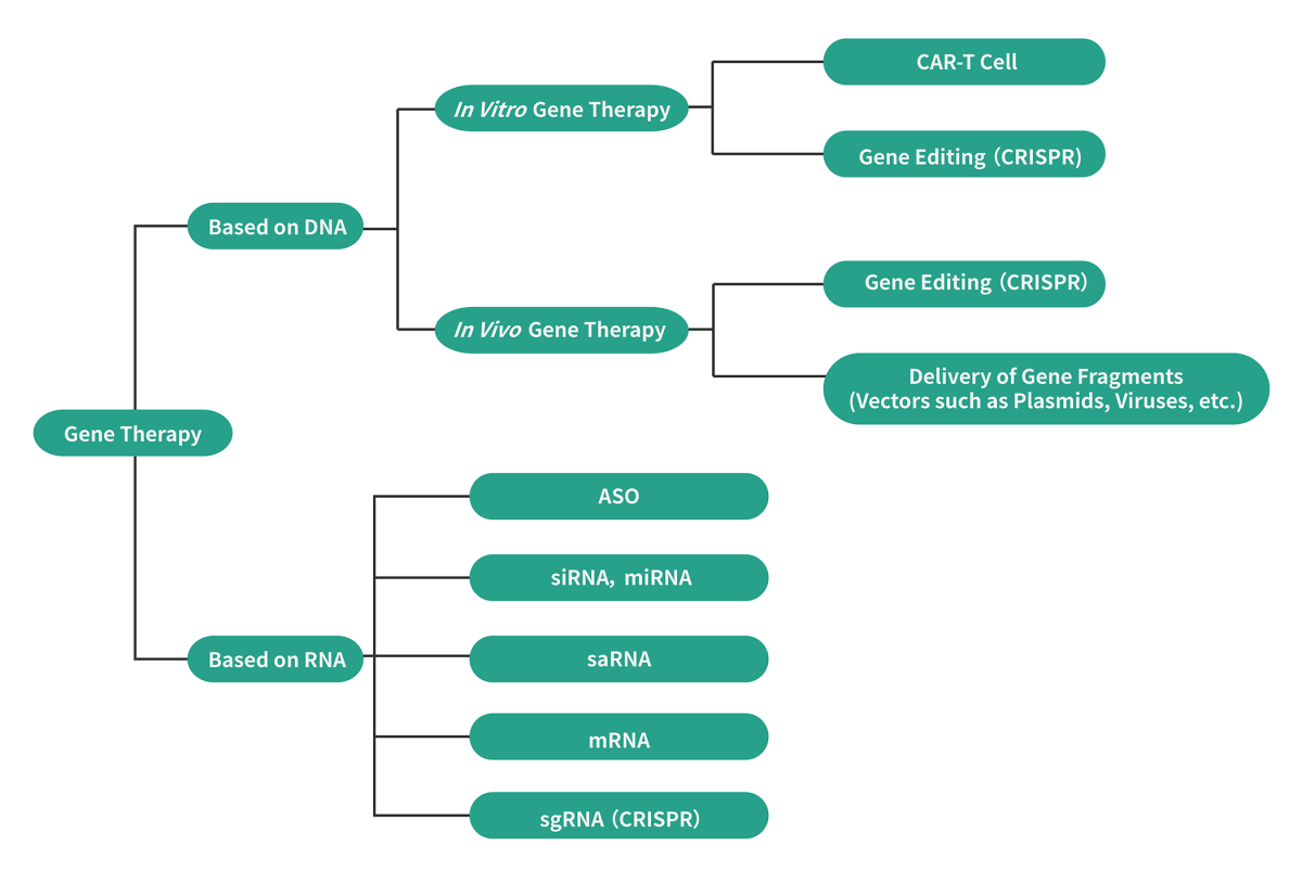 gene therapy