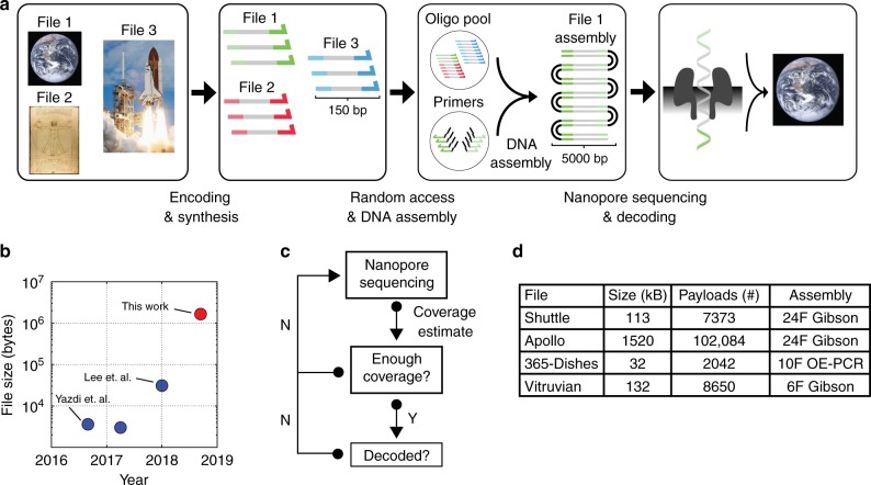 overview of the DNA data storage workflow