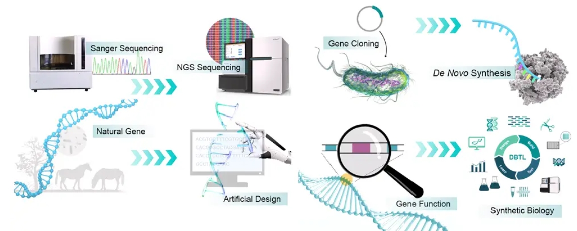 the increasing need for complex sequences