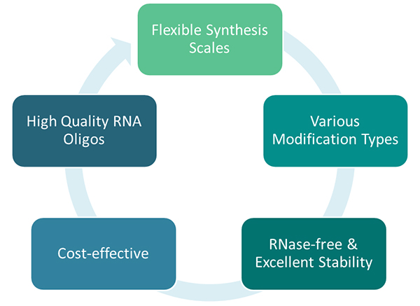 Highlights of RNA Synthesis