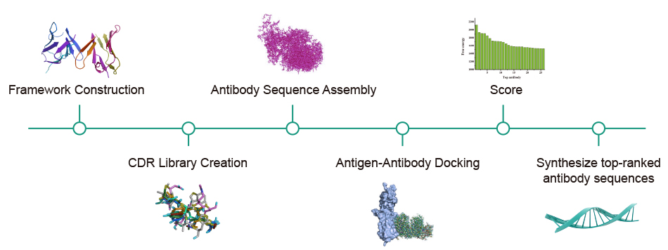 antibody discovery  process