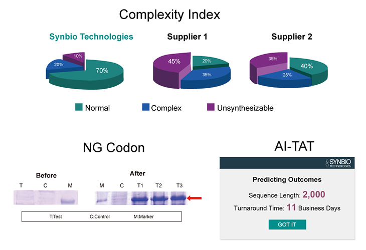 AI Gene Synthesis Advantage