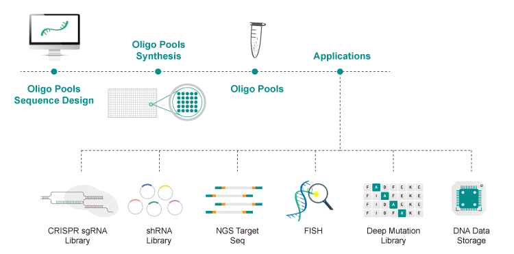 Workflow of Oligo Pools