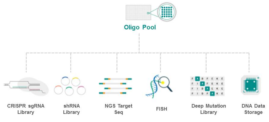 Applications of Oligo Pool